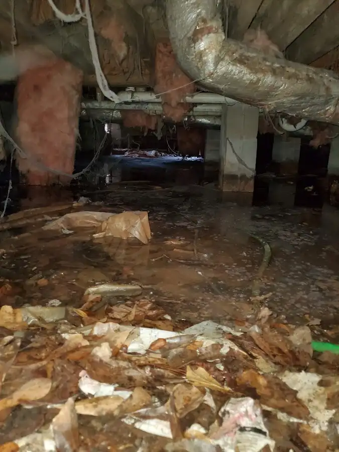 Crawl space flood assessment for Commercial Water Damage Restoration in Westfield