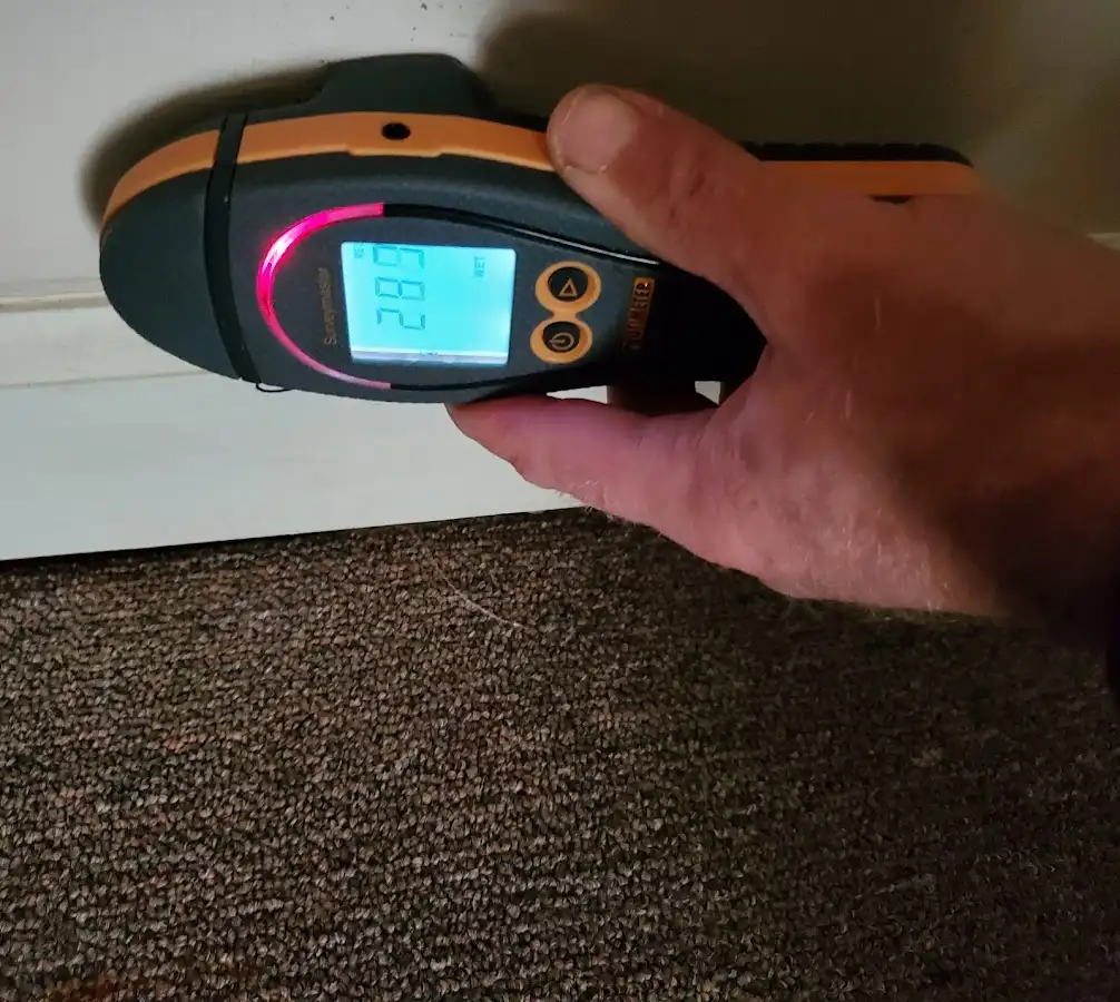 Moisture detection at baseboard during Sewage Cleanup & Sanitation in Westfield